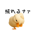 動く！アヒルさん（個別スタンプ：10）