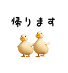 動く！アヒルさん（個別スタンプ：13）