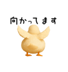 動く！アヒルさん（個別スタンプ：15）