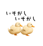 動く！アヒルさん（個別スタンプ：16）