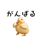 動く！アヒルさん（個別スタンプ：22）