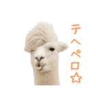 前髪きめすぎなアルパカ1（個別スタンプ：2）