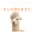 前髪きめすぎなアルパカ1（個別スタンプ：5）