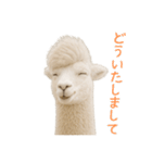 前髪きめすぎなアルパカ1（個別スタンプ：16）