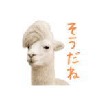 前髪きめすぎなアルパカ1（個別スタンプ：24）