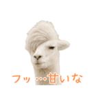 前髪きめすぎなアルパカ1（個別スタンプ：34）