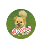 おふくん 日常（個別スタンプ：2）
