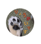 おふくん 日常（個別スタンプ：5）