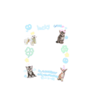 ᐢ> ·̫ <ᐢ（個別スタンプ：2）