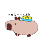 カピバラさんは今日もゆく（個別スタンプ：1）