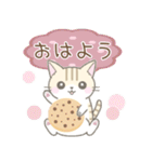 毎日使える☆スイーツとネコ（個別スタンプ：1）