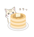 毎日使える☆スイーツとネコ（個別スタンプ：11）