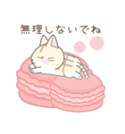 毎日使える☆スイーツとネコ（個別スタンプ：36）