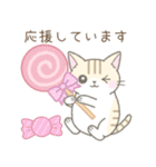 毎日使える☆スイーツとネコ（個別スタンプ：38）