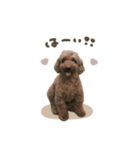 ティモちゃん♡ラヴィちゃんスタンダード（個別スタンプ：3）