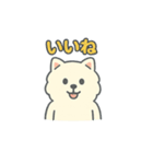 ポメラニアンいろいろスタンプ（個別スタンプ：8）