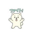 ポメラニアンいろいろスタンプ（個別スタンプ：11）