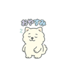 ポメラニアンいろいろスタンプ（個別スタンプ：12）