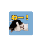 おちびとボノボ（個別スタンプ：2）