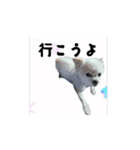 おちびとボノボ（個別スタンプ：8）
