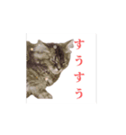 おちびとボノボ（個別スタンプ：9）