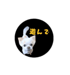 おちびとボノボ（個別スタンプ：10）