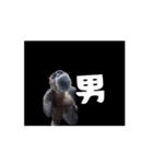 おちびとボノボ（個別スタンプ：14）