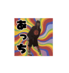 ざきこと一緒:)  1（個別スタンプ：1）