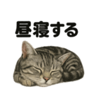 とにかく眠いアメリカンショートヘア猫（個別スタンプ：9）