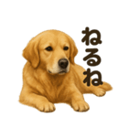とにかく眠いゴールデンレトリバー犬（個別スタンプ：2）