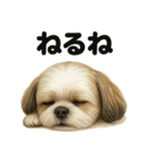 とにかく眠いシーズー犬のラインスタンプ（個別スタンプ：2）