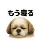 とにかく眠いシーズー犬のラインスタンプ（個別スタンプ：3）
