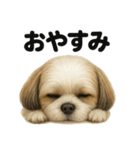 とにかく眠いシーズー犬のラインスタンプ（個別スタンプ：4）