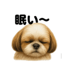 とにかく眠いシーズー犬のラインスタンプ（個別スタンプ：5）