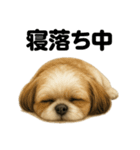 とにかく眠いシーズー犬のラインスタンプ（個別スタンプ：6）