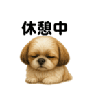 とにかく眠いシーズー犬のラインスタンプ（個別スタンプ：7）