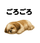とにかく眠いシーズー犬のラインスタンプ（個別スタンプ：8）