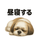 とにかく眠いシーズー犬のラインスタンプ（個別スタンプ：9）