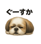 とにかく眠いシーズー犬のラインスタンプ（個別スタンプ：10）