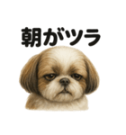 とにかく眠いシーズー犬のラインスタンプ（個別スタンプ：13）