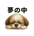 とにかく眠いシーズー犬のラインスタンプ（個別スタンプ：14）
