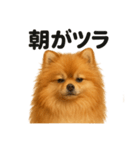 とにかく眠いポメラニアン犬のライン（個別スタンプ：13）