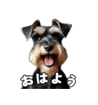 リアルシュナウザー（日常会話）（個別スタンプ：1）
