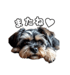 リアルシュナウザー（日常会話）（個別スタンプ：4）