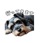 リアルシュナウザー（日常会話）（個別スタンプ：5）