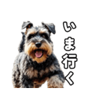 リアルシュナウザー（日常会話）（個別スタンプ：7）