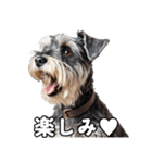 リアルシュナウザー（日常会話）（個別スタンプ：12）