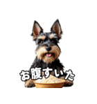 リアルシュナウザー（日常会話）（個別スタンプ：13）