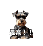 リアルシュナウザー（日常会話）（個別スタンプ：16）