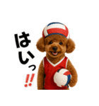 使える！バレーボールプードル（個別スタンプ：5）